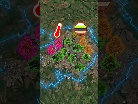 Você sabia que Maringá é a cidade mais arborizada do Brasil? #mapas #geografia #maringá #paraná