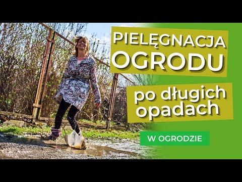 Pielęgnacja ogrodu po długotrwałych opadach - W OGRODZIE