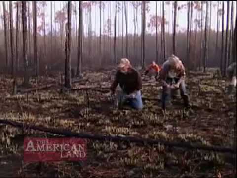 Worm Grunting | This American Land