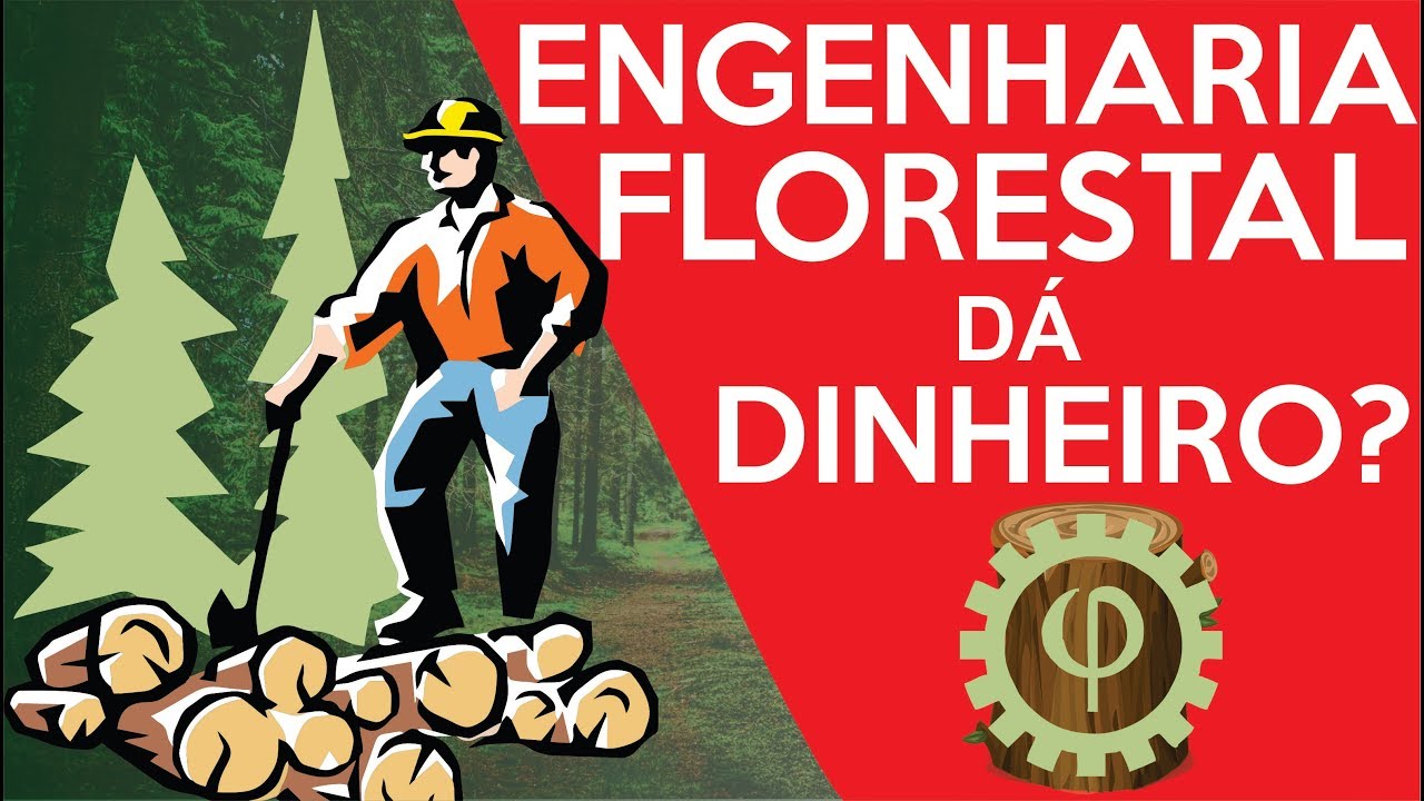 ENGENHARIA EM FOCO - com o eng.º FELIPE PEREIRA