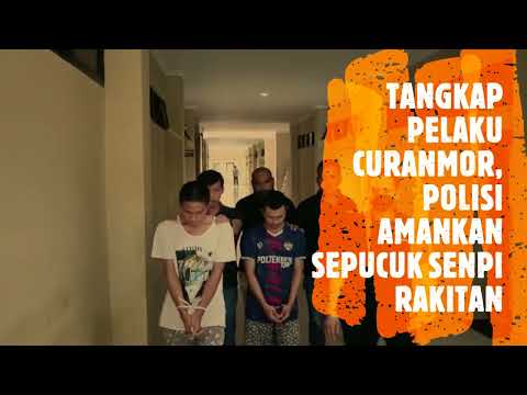 TANGKAP PELAKU CURANMOR, POLISI AMANKAN SENPI RAKITAN