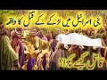 Bani Israel Ki Gaye Ka Waqia Bani Israel Ki Gaye Cow Ki Qurbani Ka Qissa Islamicinsights