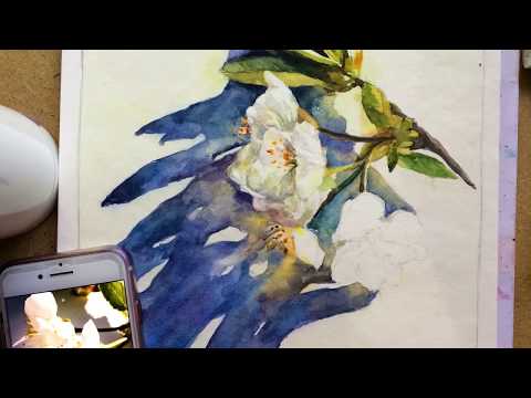 SPEEDPAINT - WATERCOLOR - CHERRY BLOSSOM (АКВАРЕЛЬ - ЦВЕТУЩАЯ ВИШНЯ)