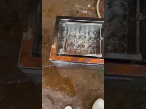 Water Bath Shaker