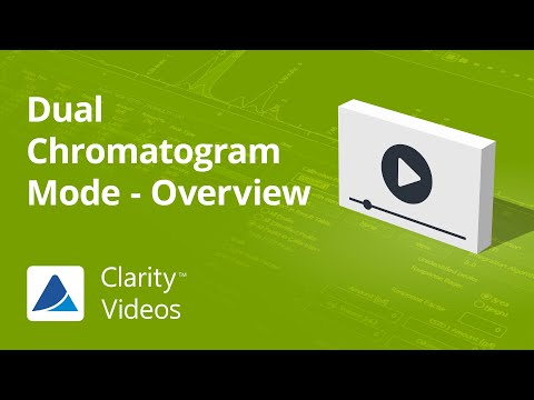 Video placeholder