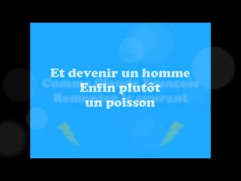 Les Fatals Picards - Petit Poisson D'Elevage (Lyrics)