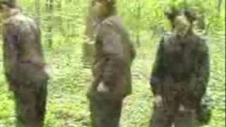 Wizo - Blöd genug für diese Welt