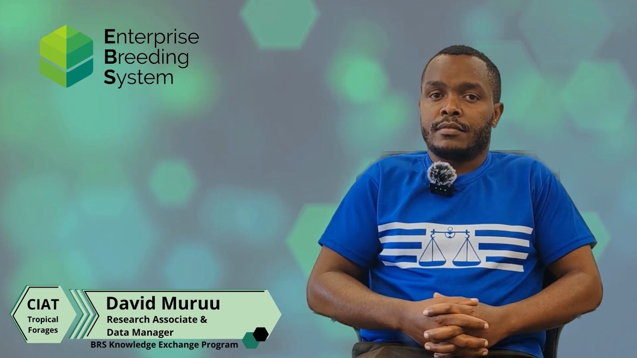 CIAT: David Muruu