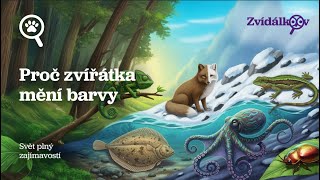 PROČ ZVÍŘÁTKA MĚNÍ BARVY 🦎🐙 🎨 - audio encyklopedie pro děti (2026)
