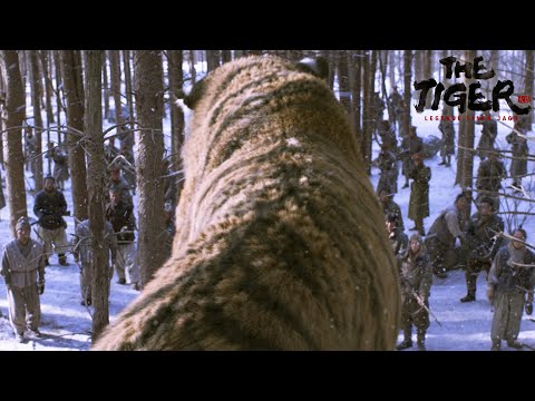 Trailer The Tiger - Legende einer Jagd