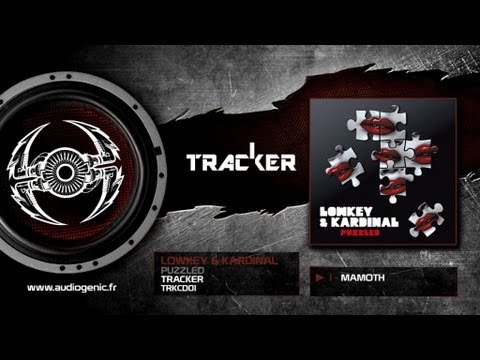 LOWKEY & KARDINAL - 1 - Mamoth - PUZZLED - TRKCD01