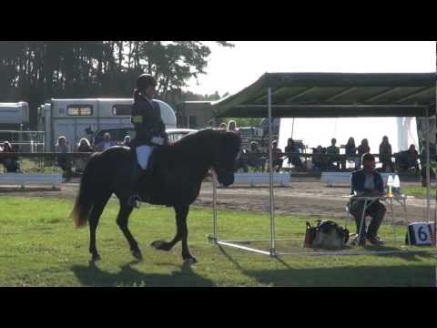 Throttur von Oed und Catherina Müller die NRW Meister 2012 im Fünfgangpreis