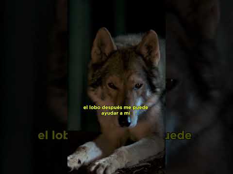 La Historia Secreta de los Perros