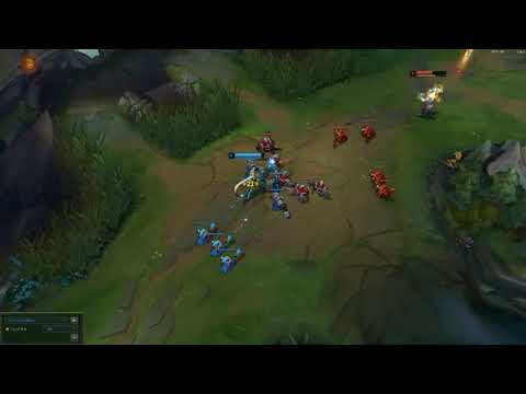 shen bush cheese pog