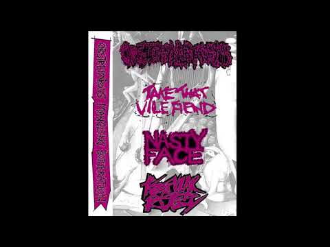Cystoblastosis / TTVF / Nasty Face / RSR - Obstreperous Mangling Botheration 4 way split