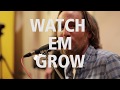 UCSB Amplified: Zach Gill + Friends "Watch Em Grow"
