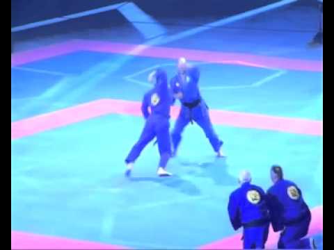Real Aikido - Serbian Martial Art - Bercy 2012