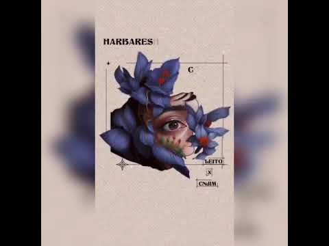 ترک جدید #بهزاد_لیتو و سینجیم به نام هر بارشو Leito #021kid #album #hiphopologist