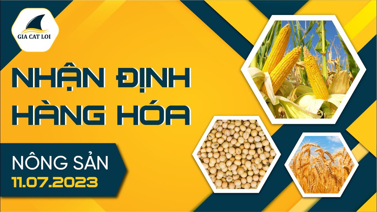 Nhận Định Thị Trường Nông Sản Ngày 11/07/2023