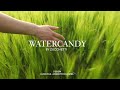 WaterCandy Hand Shower