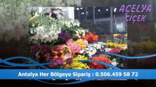 Lara Eve Çiçek Siparişi   0506 459 5872   Açelya Çiçek