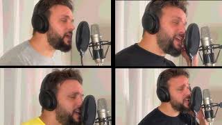 The Only One - Chicago (cover) #greatcover #music #rock