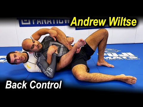 Understanding The Jiu Jitsu Back Control by Andrew Wiltse