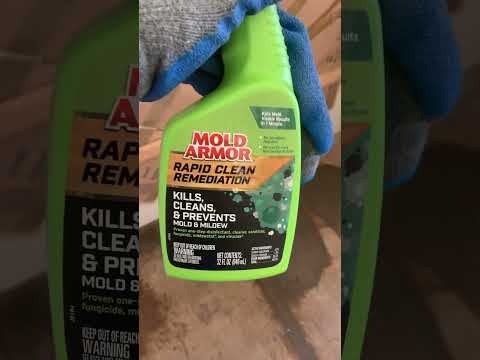 Mold armor rapid clean remediation