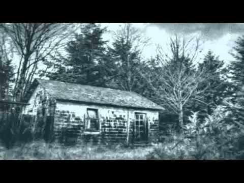 Die Gemälde [Deutsch/German]