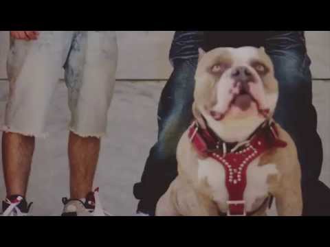 G Herbo x Vick Mucka - Through The City