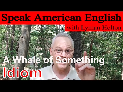 Idiom #30: A Whale of Something - Learn to Speak American English