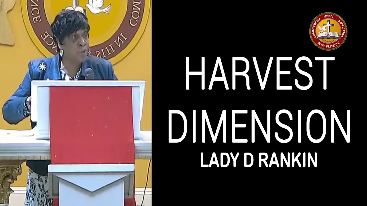 Harvest Dimension