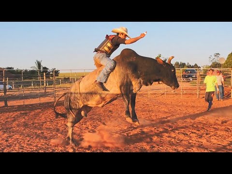 MONTANDO NOS TOUROS DA CIA DE RODEIO BARRETINHO E CIA J.H 2021 - 2º ROUND (TREINO)
