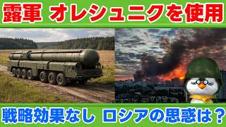 【ペンギン閣下】ロシア軍、オレシュニク弾道ミサイルを使用【国際情勢】