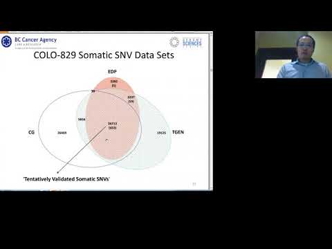 Bioinformatics: Benchmarking Variant Callers & Analysis Tools