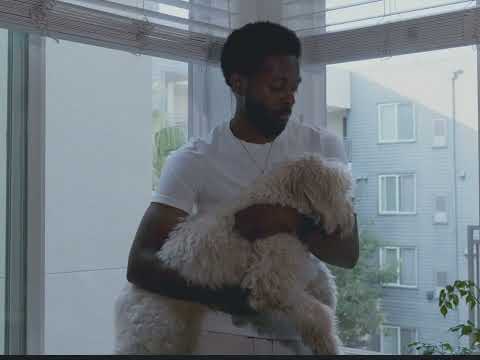 A Breaking Obsession (Visualizer)