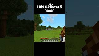 10秒で5発の花火を打ち上げろ【マイクラ】