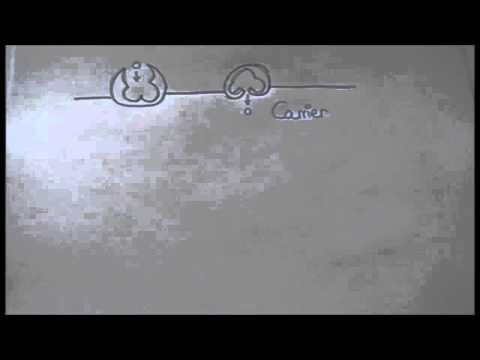 Stofftransport durch Membran + Eselsbrücken