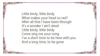 Kristin Hersh - Little Birdy Lyrics