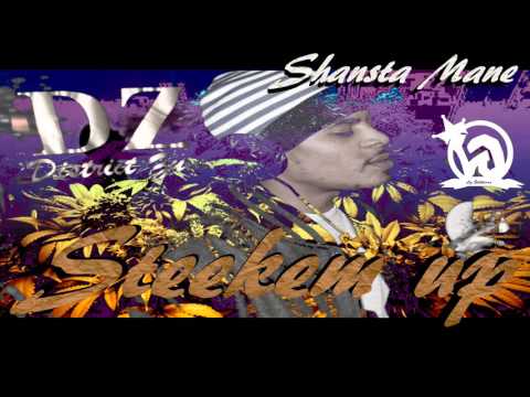 Shansta Mane - Steekem Up