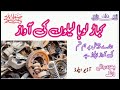 Kabad Bachne Ki Awaz Bal Bachne Ki Awaz