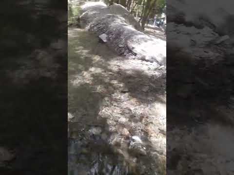 A beautiful view of the river with the pleasant sound of water