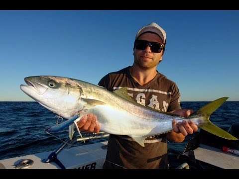 KINGFISH EXPLOSIONS ON TOPWATER - YouFishTV Australia