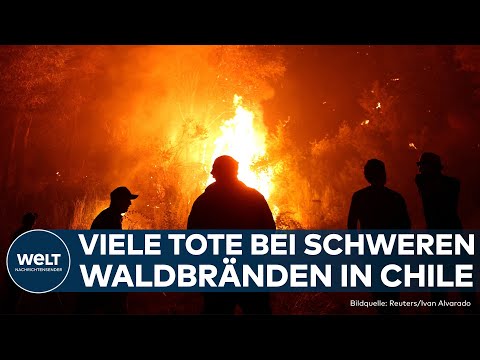 VERHEERENDE WALDBRÄNDE IN CHILE: Mindestens zehn Tote! Tausende Hektar Wald zerstört