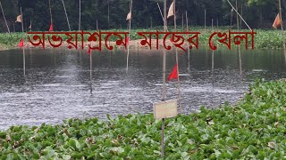 অভয়াশ্রমে মাছের নাচন