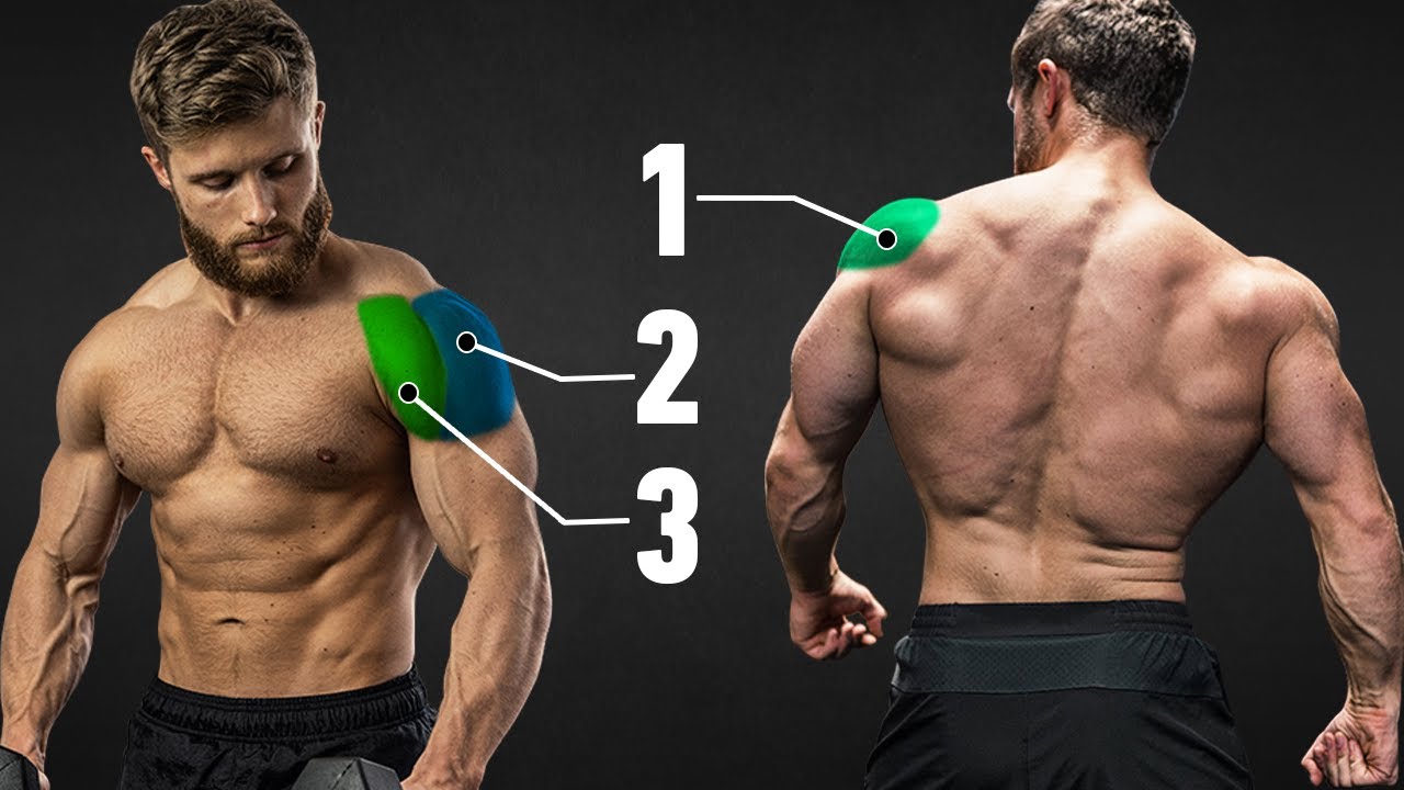 The Most Effective Science-Based Shoulder Focused Full Body Workout #03