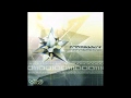 Protoculture - Silicon Sunrise 