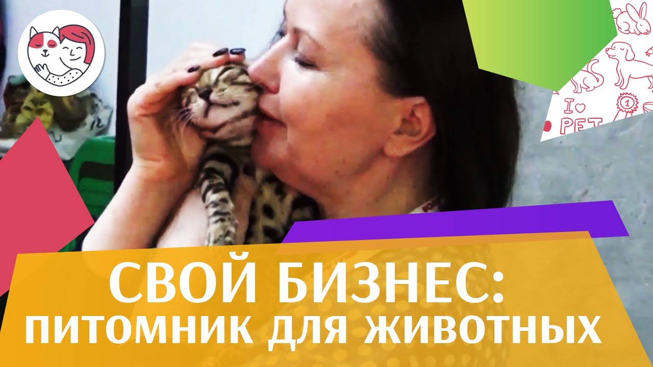 4 подводных камня собственного питомника на ilikepet