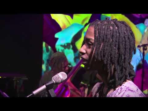 The Ayo Brame Experience video