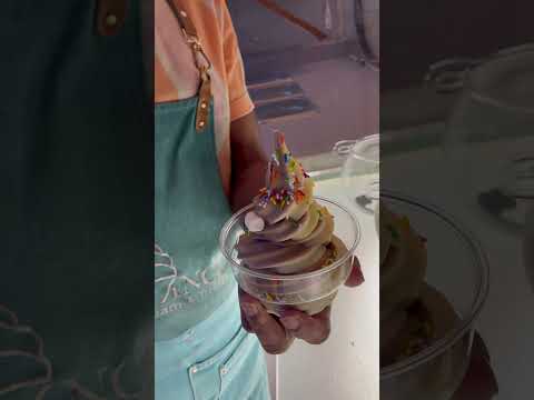 Ice Crem Branch And vanilla.